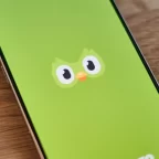 Growth Marketing Duolingo